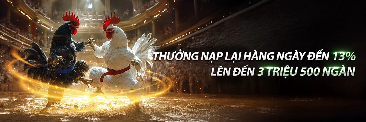 Đá gà trực tuyến kịch tính tại 888now win